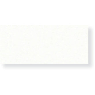 Canson Dessin Art Board Pure White 16"x20"
