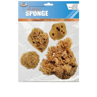 Royal Brush Royal Combination Sponge Set