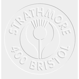 Strathmore Bristol Board Smooth 2 Ply 22"x30"