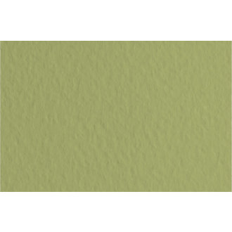 Fabriano Tiziano Paper #14 Moss Green 20''x26''