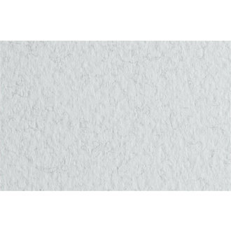 Fabriano Tiziano Paper #32 Felt Light Gray 20''x26''