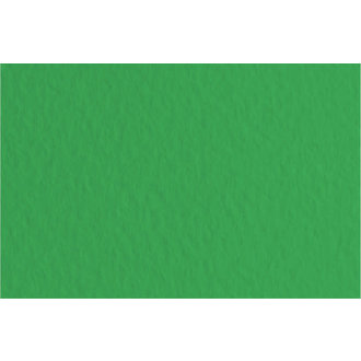 Fabriano Tiziano Paper #12 Emerald Green 20''x26''