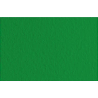 Fabriano Tiziano Paper #37 Billiard Green 20''x26''