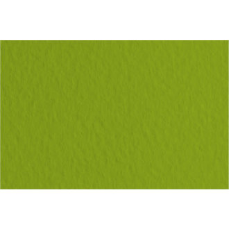 Fabriano Tiziano Paper #43 Pistachio 20''x26''
