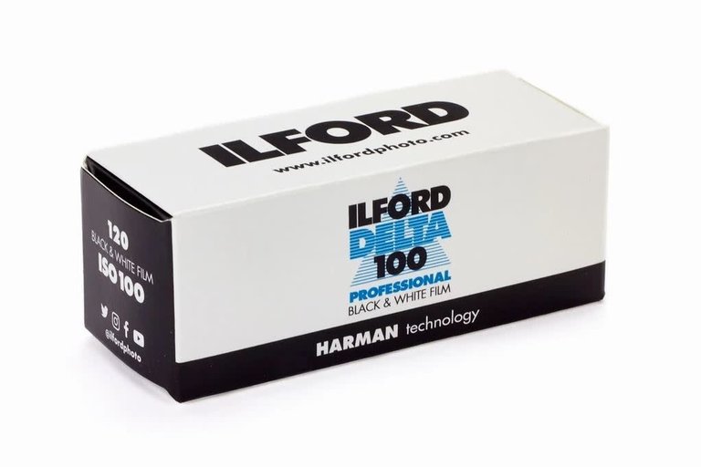 Ilford Delta 100 Professional B&W Negative Film 120 Format