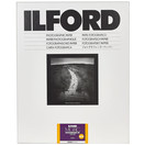 Ilford MULTIGRADE RC DELUXE (1M) Glänzend : 40,6 X 50,8 Cm - 10 Blatt