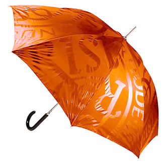 RISD Automatic Class Umbrella