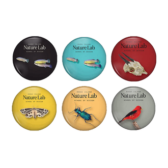 RISD RISD Nature Lab Magnet 2"