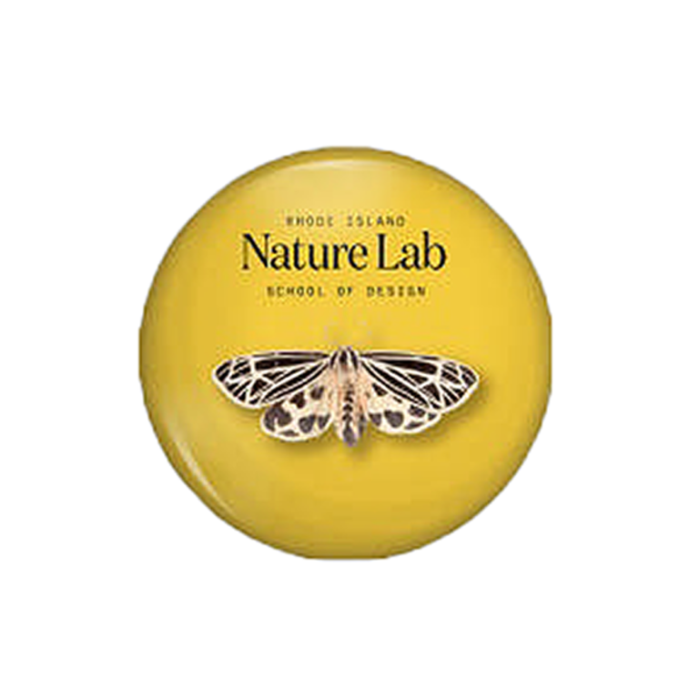 Butterfly Needles - Isla Lab
