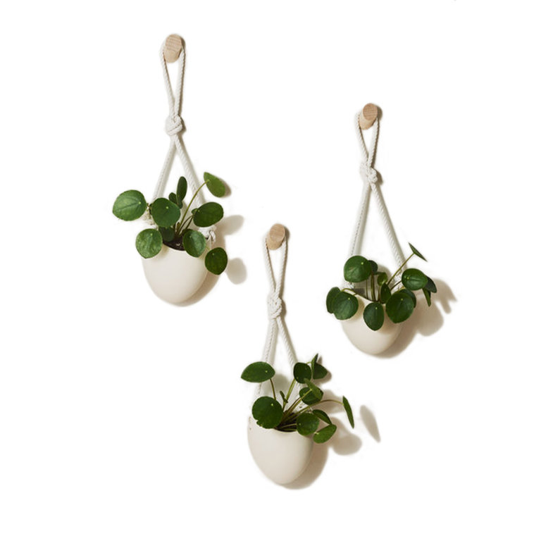 Farrah Sit Light + Ladder Spora Hanging Rope Planters (Set of 3)