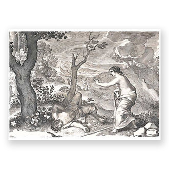 RISD Museum Death of Adonis Postcard