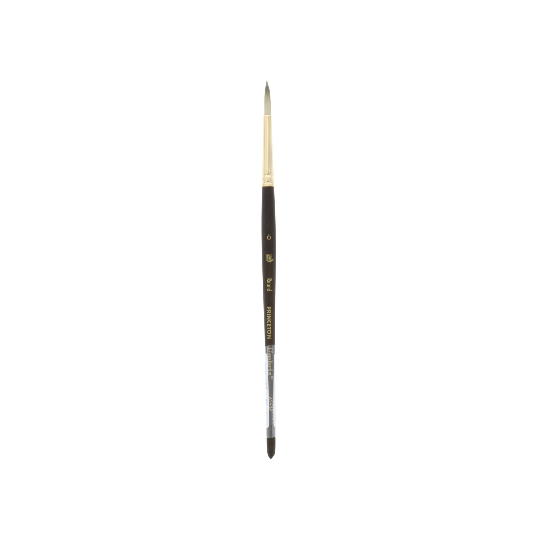 Princeton Umbria Short Handle Synthetic Paint Brush for Watercolor, Acrylic  and Oil, Series 6250, Filbert, 8