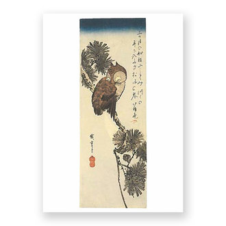 RISD Museum Horned Owl, Pine and Crescent Moon Postcard RISD Museum Horned Owl, Pine and Crescent Moon Postcard