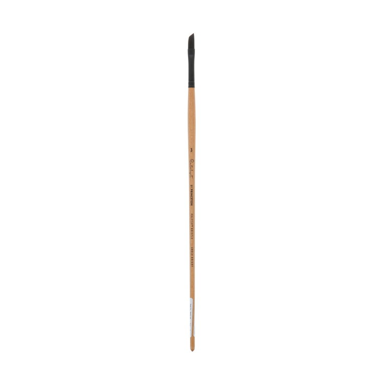 Princeton Brush Princeton Catalyst 6400 Polytip Synthetic Long Handle Brush Angle Bright