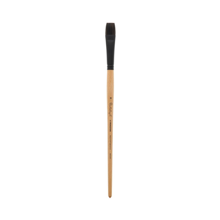 Princeton Brush Princeton Catalyst 6400 Polytip Synthetic Long Handle Brush Bright