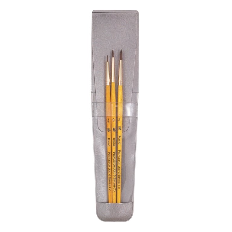 Princeton Brush Princeton Real Value 9100 Short Handle Brush Set