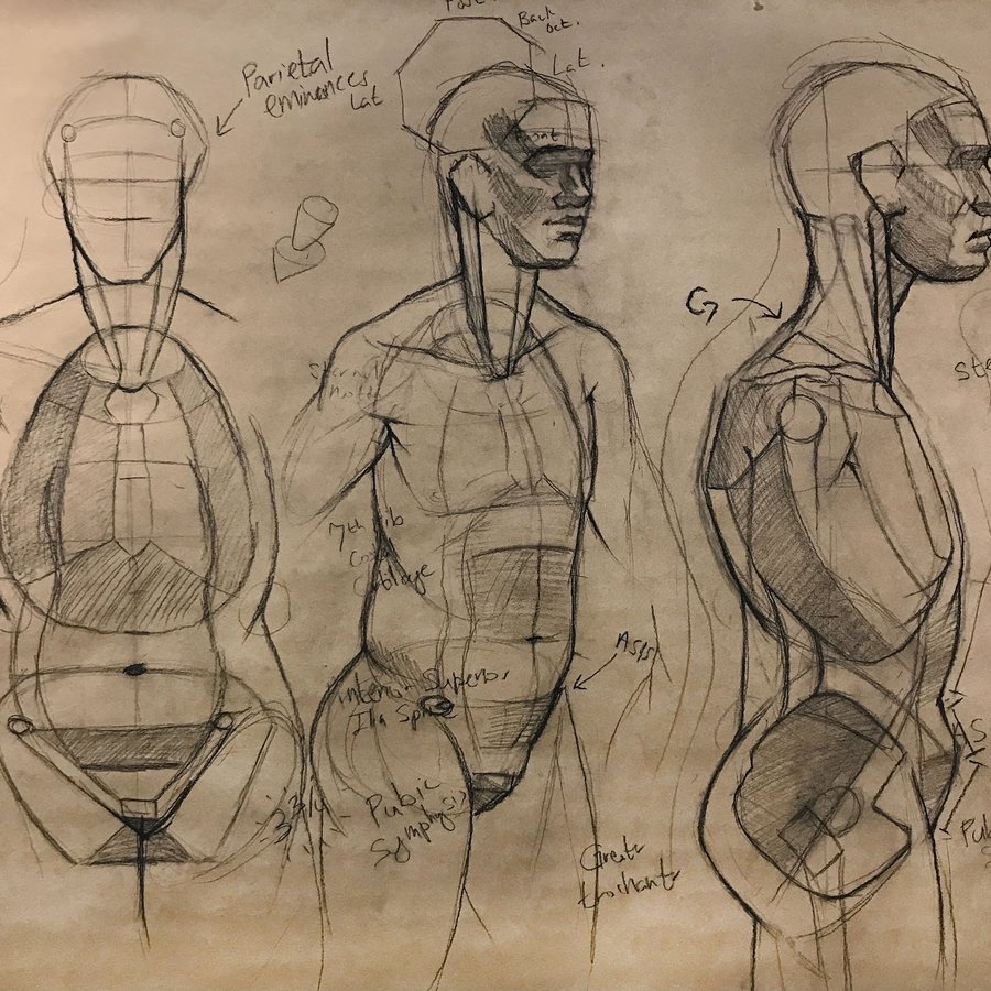 Emily Slapin Adult Extension 2240 Human Anatomy: Introduction