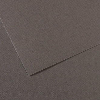 Canson Mi-Teintes 8.5"x11" Cools Sheet Canson Mi-Teintes 8.5"x11" Cools Sheet