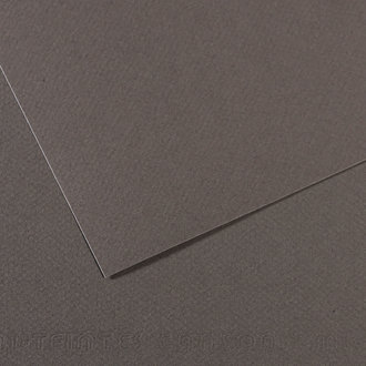 Canson Mi-Teintes 19"x25" Cools Sheet Canson Mi-Teintes 19"x25" Cools Sheet