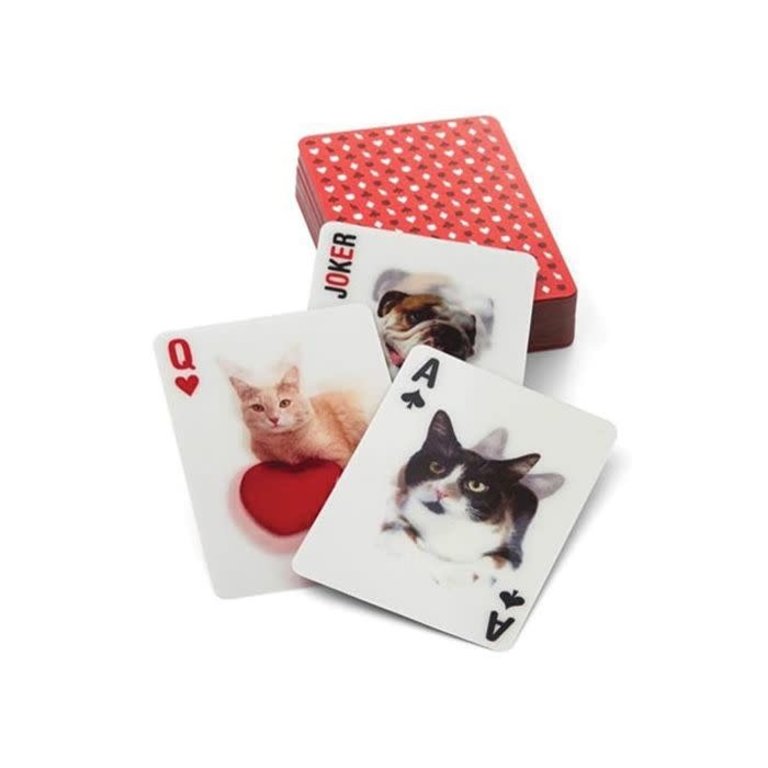 Kikkerland Optical Playing Cards