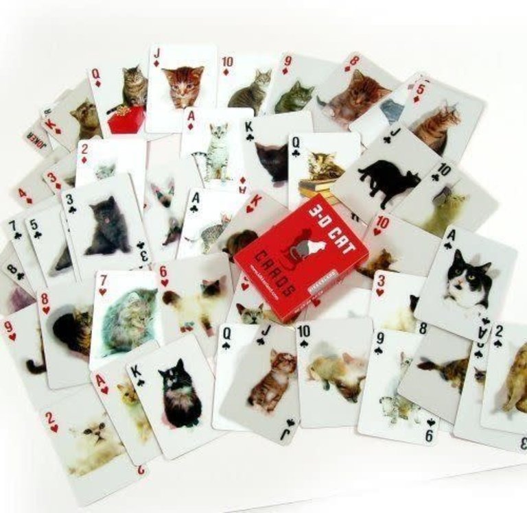 Kikkerland Optical Playing Cards
