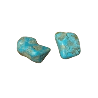 Margaret Hinge Stone Carved Stud Earrings