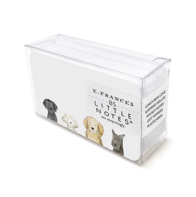 E Frances Paper Company E. Frances Little Notes Boxed Set Animal