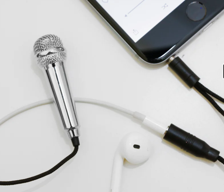 Mini Karaoke Microphone