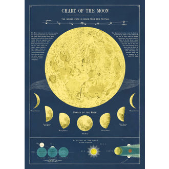 Cavallini & Co. Decorative Italian Paper 20" x 28"