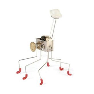 $30.00 Oahaca Wind Up