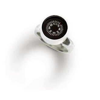 LeeAnn Herreid Compass Ring