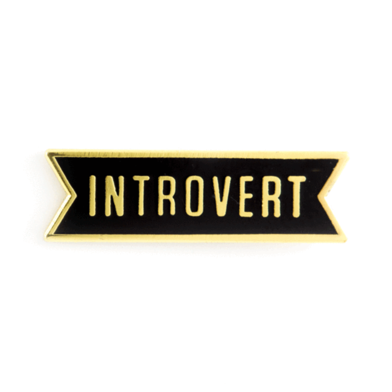 These Are Things These Are Things Enamel Pin Introvert