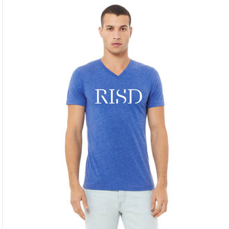 Bella + Canvas Wordmark V-Neck Triblend  T-Shirt