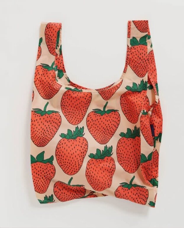 Ellen Van Der Laan Standard  Baggu Bag Food