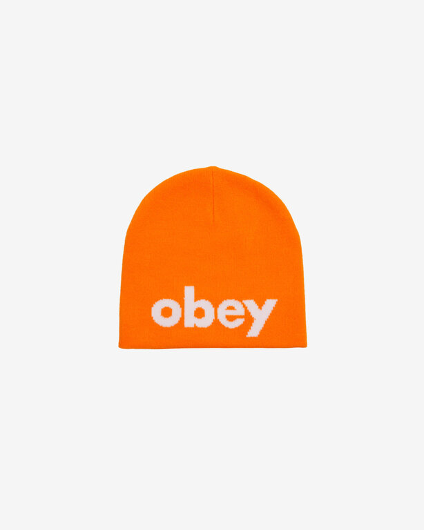 Shepard Fairey Lowercase Beanie