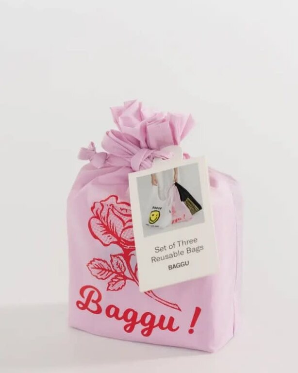 Ellen Van Der Laan Standard Reusable Nylon Bag Set of 3