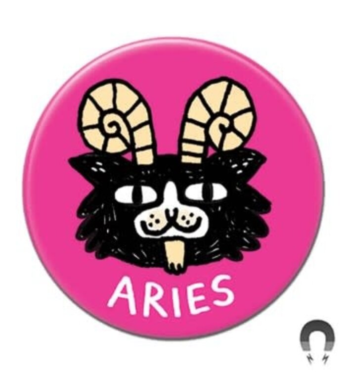 Gemma Correll Cat Astrology Magnet