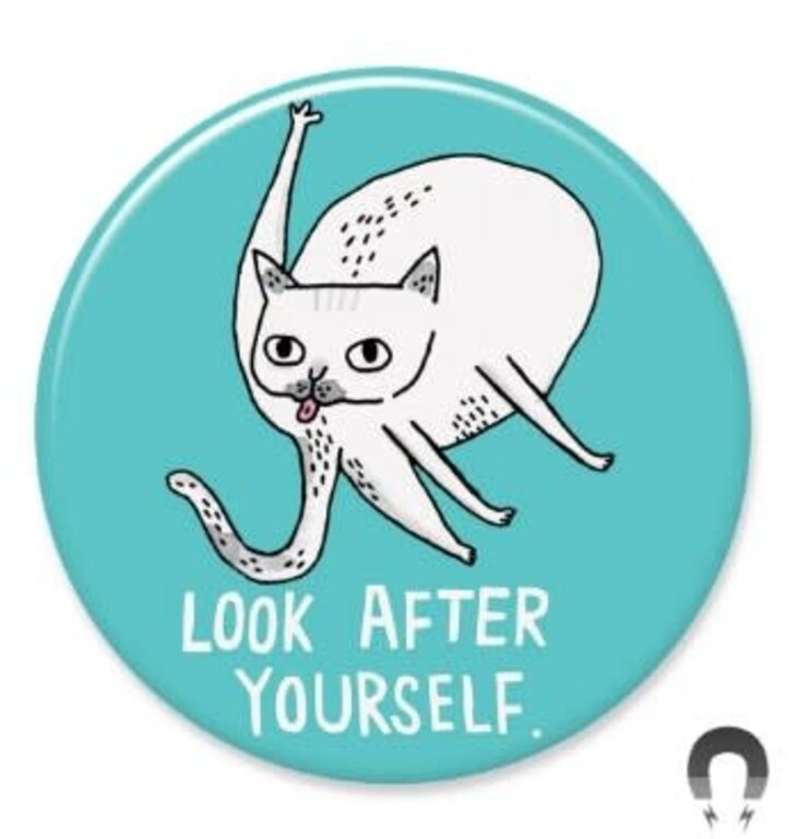 Gemma Correll Cattitude Big Magnet 2.25"