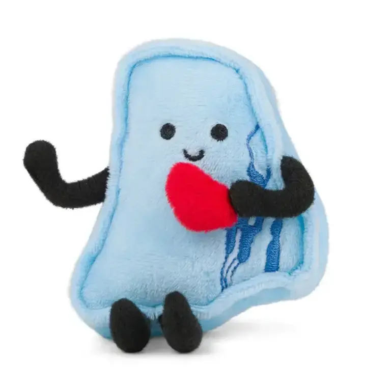 Faire.com Rhode Island Plush Magnet