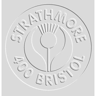 Strathmore Strathmore Bristol Board Vellum 22''x30''