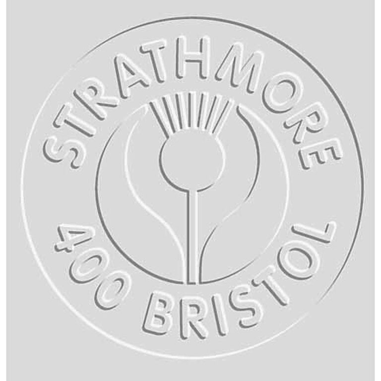 Strathmore Strathmore Bristol Board Vellum 22''x30''