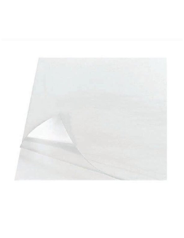 Grafix Grafix Wet Media Polyester Film  .004 Thickness