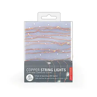 $12.00 Copper String Battery Lights