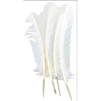 Zucker White Turkey Quill Feathers 10-14" 4 Pack
