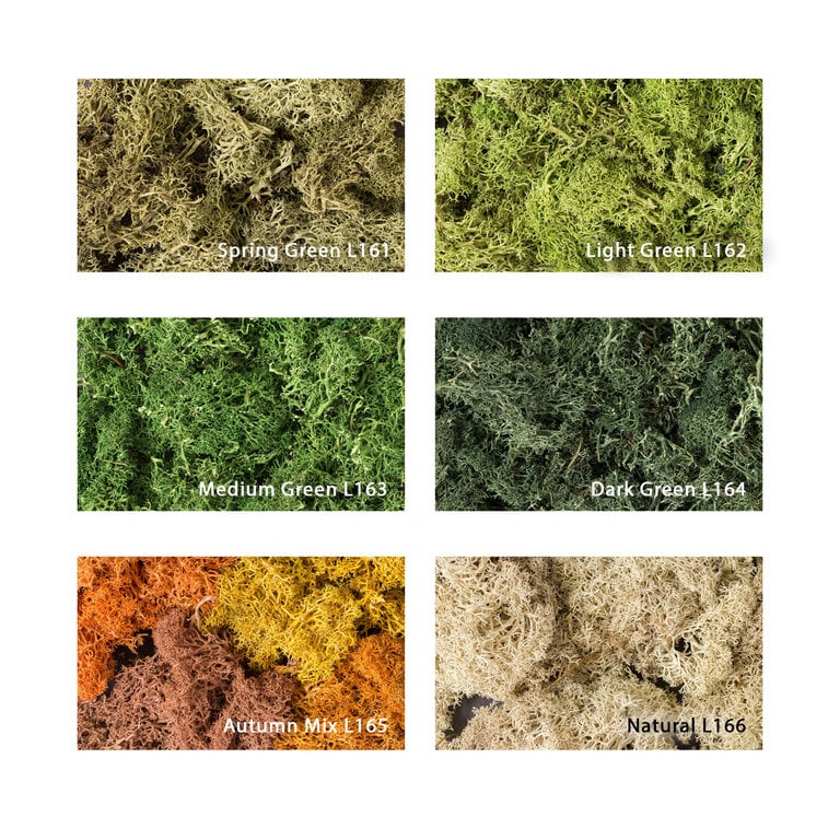 Woodland Scenics Lichen 1.5Qts