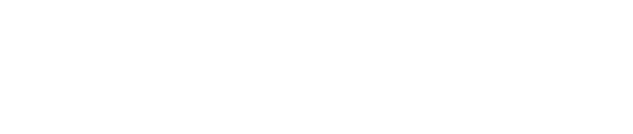 RISD Store