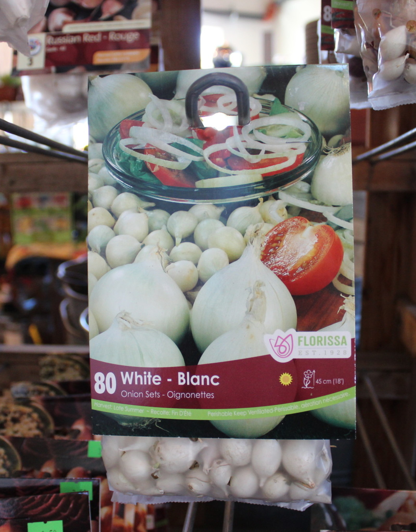 Onion White - Package of 80