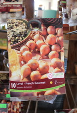 Shallot French Gourmet - Package of 10