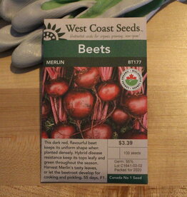 West Coast Seeds Beets - Merlin F1 Organic Certified (100 Seeds)