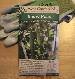 West Coast Seeds Snow Peas Mammoth Melting Sugar